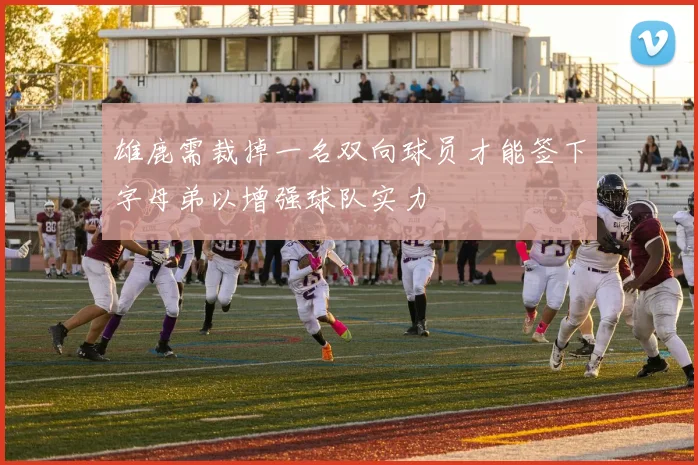 雄鹿需裁掉一名双向球员才能签下字母弟以增强球队实力