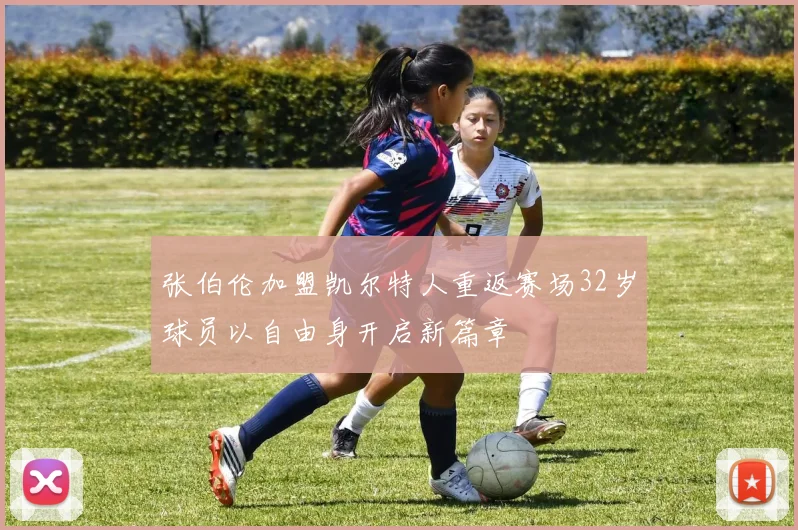 张伯伦加盟凯尔特人重返赛场32岁球员以自由身开启新篇章