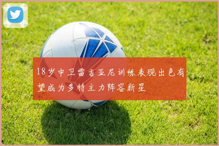 18岁中卫雷吉亚尼训练表现出色有望成为多特主力阵容新星