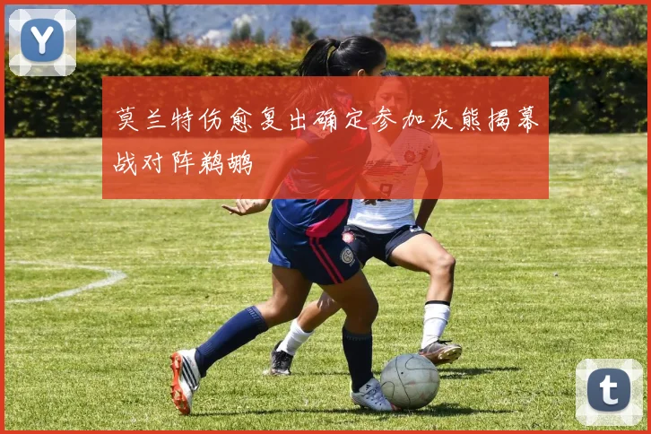 莫兰特伤愈复出确定参加灰熊揭幕战对阵鹈鹕