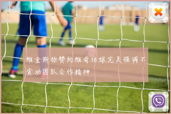 维金斯称赞约维奇传球完美强调不贪功团队合作精神