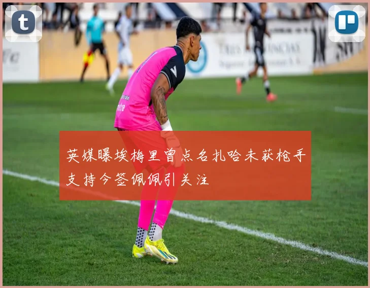 英媒曝埃梅里曾点名扎哈未获枪手支持今签佩佩引关注