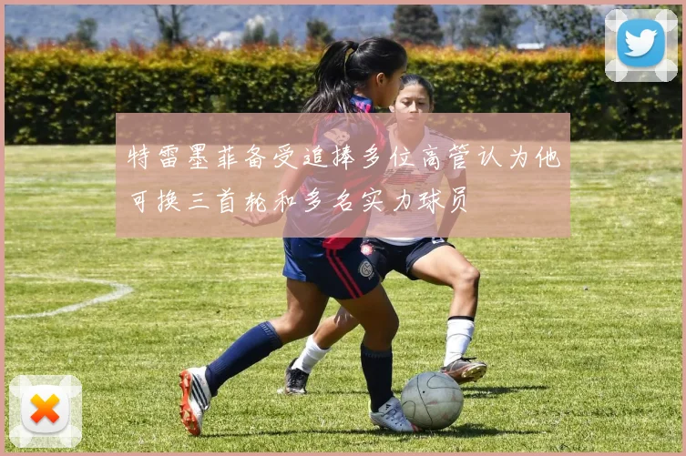 特雷墨菲备受追捧多位高管认为他可换三首轮和多名实力球员