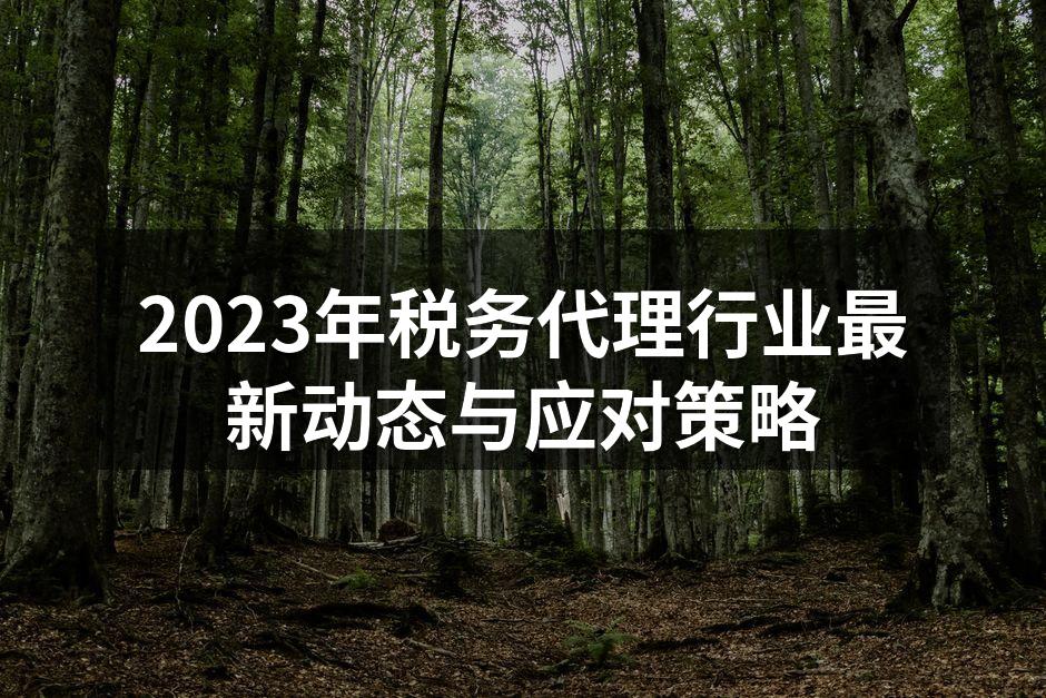 2023年税务代理行业最新动态与应对策略
