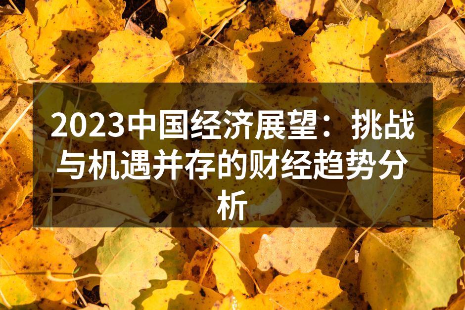 2023中国经济展望：挑战与机遇并存的财经趋势分析