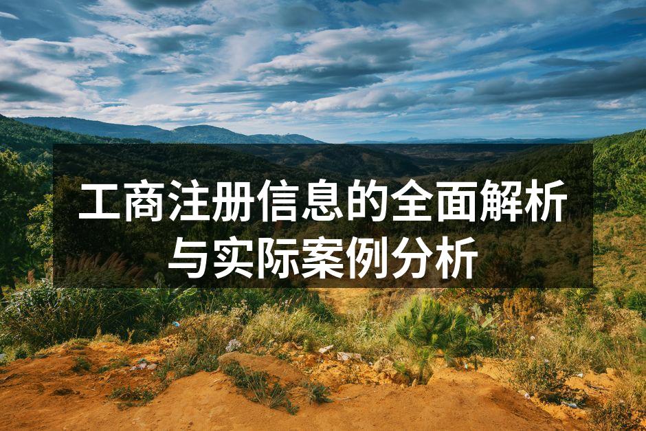 工商注册信息的全面解析与实际案例分析