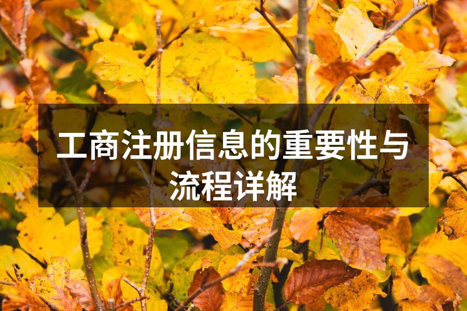工商注册流程图解