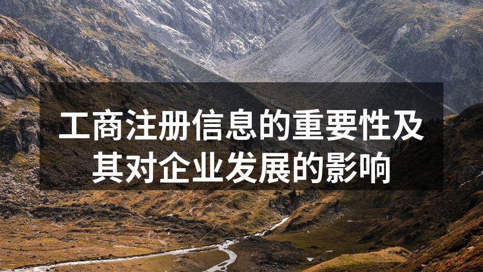 工商注册信息的重要性及其对企业发展的影响